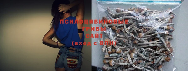 a pvp Абинск